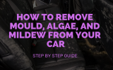 How to Remove Mould, Algae, and Mildew From Your Car