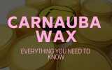 Carnauba Wax – Everything You Need to Know